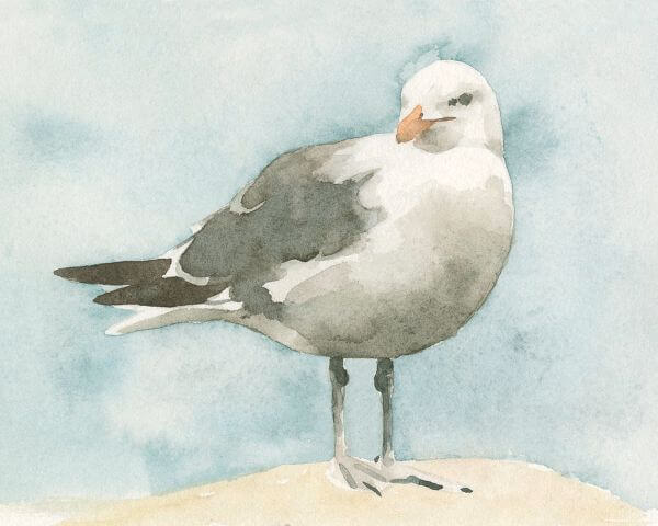 Simple Gull Painting For Kids