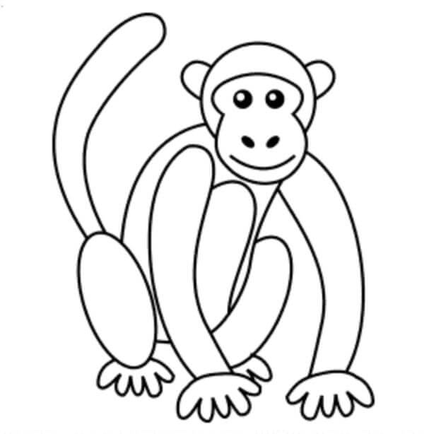 Simple Monkey Drawing & Sketches For Kids 