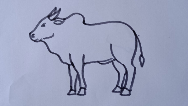Ox Drawing & Sketches For Kids Simple Ox Drawing Tutorial