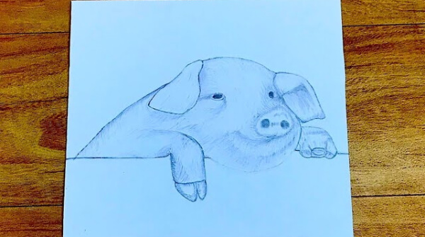 Pig Drawing & Sketches For Kids Simple Pig Sketch For Kids