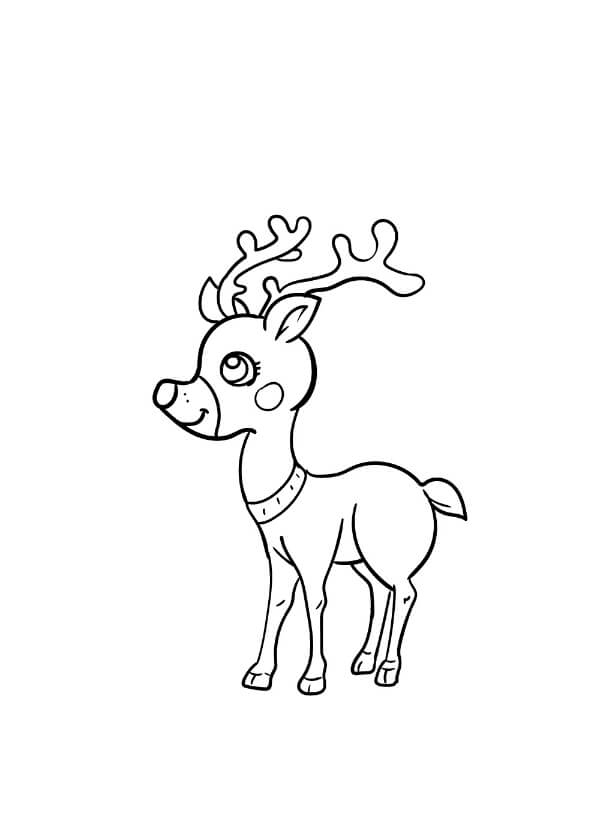 Simple Reindeer Drawing For Kids
