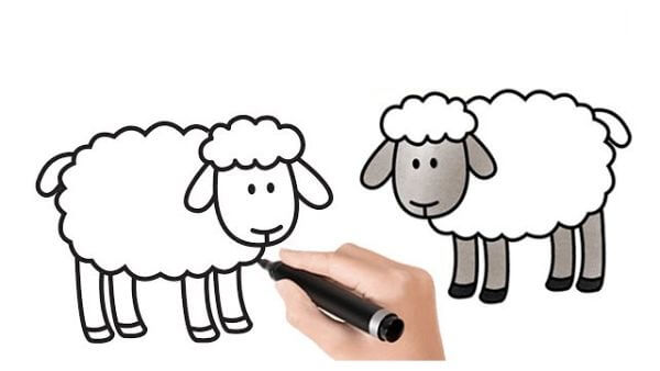 Simple Sheep Drawing & Sketches Video For Beginners