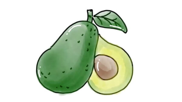 Simple Steps To Draw And Color Avocado