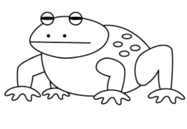 Simple Toad Drawing Step By Step & Sketches For Kids