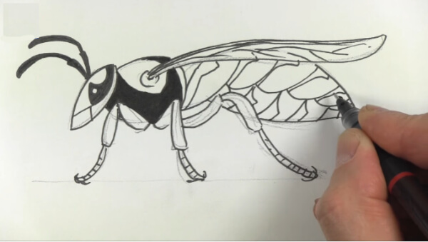 Simple Wasp Drawing