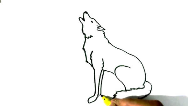 Wolf Drawing & Sketches for Kids Simple Wolf Howling Drawing For Beginners