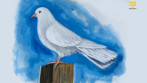  Dove Painting Art With Water Colour