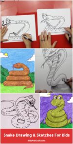 Snake Drawing & Sketches for Kids - Kids Art & Craft