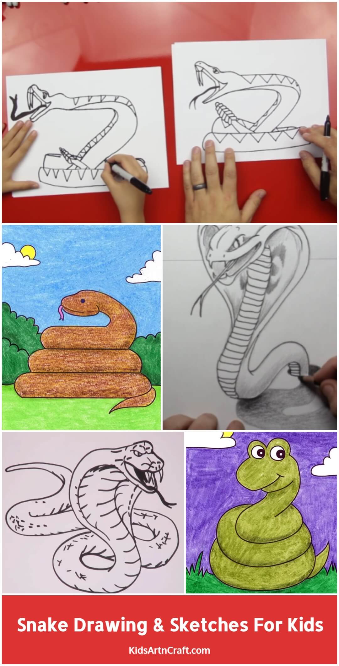 Snake Drawing & Sketches for Kids