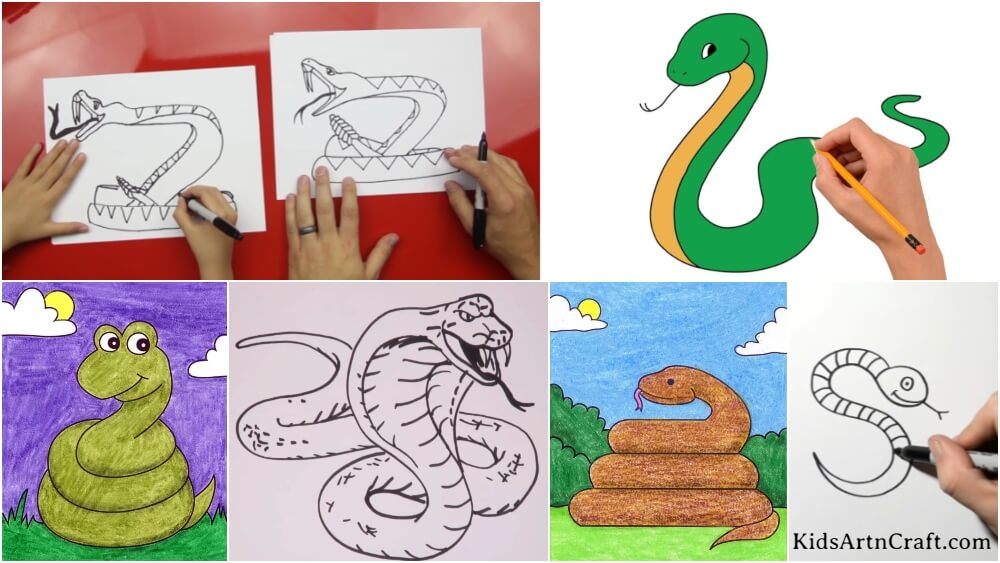 Snake Drawing & Sketches for Kids - Kids Art & Craft