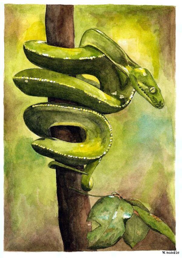 Snake Painting Using Watercolor For Kids