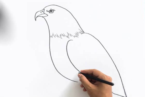 Simple Eagle Drawing Idea For Kids