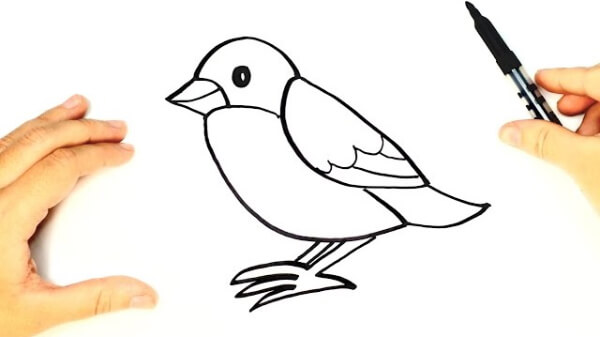 Bird Drawings & Sketches For Kids Step By Step Bird's Drawing Lesson