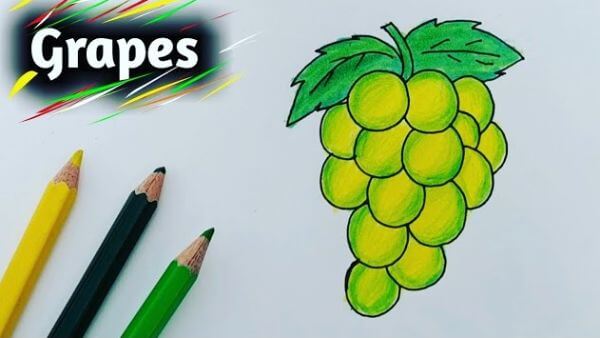 Step By Step Grapes Drawing & Sketches Activity For Kids