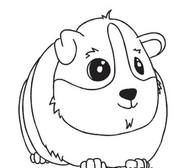 Step By Step Guinea Pig Drawing Tutorial Sketches For Kids
