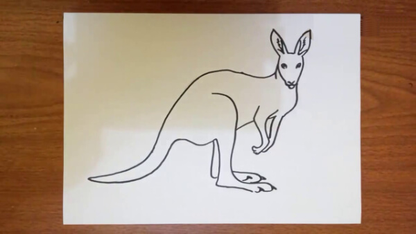 Kangaroo Drawing & Sketches For Kids Kangaroo Drawing Step by Step For Kids