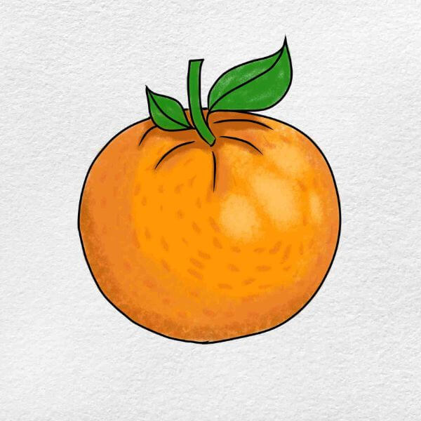 Step By Step Orange Drawing For Kids Orange Drawing & Sketches for Kids
