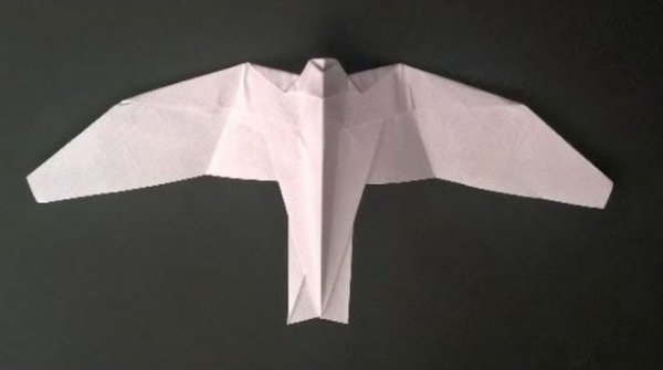How To Make An Origami Falcon With Kids Step By Step Origami Falcon Tutorial