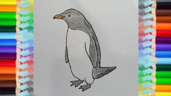 Step By Step Penguin Drawing & Sketches For Kids