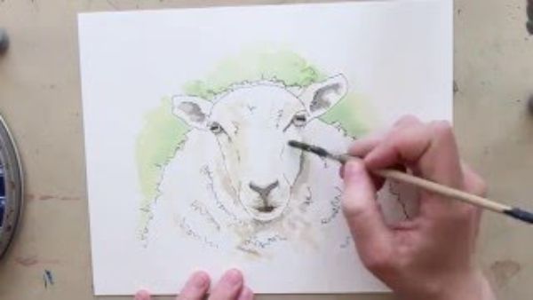 Step By Step Sheep Painting With Watercolor For Kids