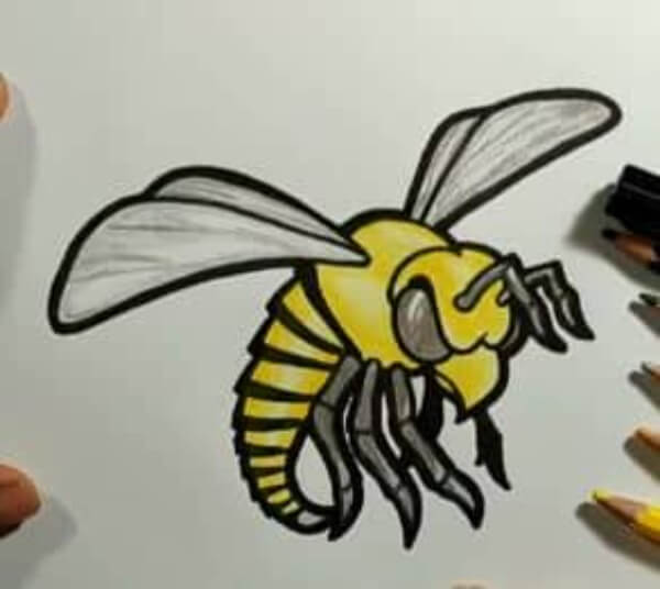 Step By Step Wasp Drawing