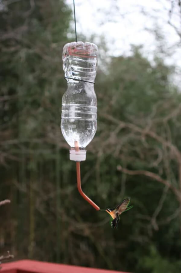 Step By Step Water Bottle Hummingbird Feeder Hummingbird Crafts & Activities for Kids