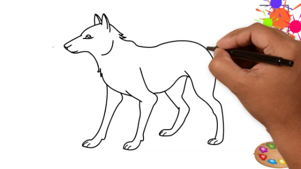 Wolf Drawing & Sketches for Kids Step By Step Wolf Drawing