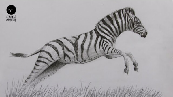 Zebra Pencil Sketch Step By Step Tutorial