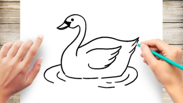 Swan Drawing With A Number 2