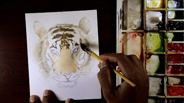 Tiger Painting With Watercolor