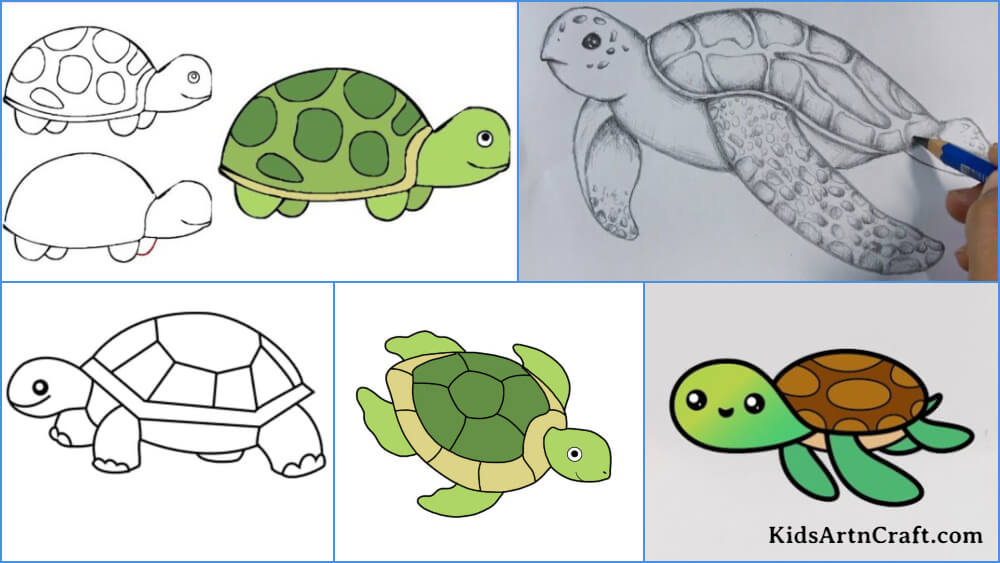 Turtle Drawing & Sketches For Kids - Kids Art & Craft