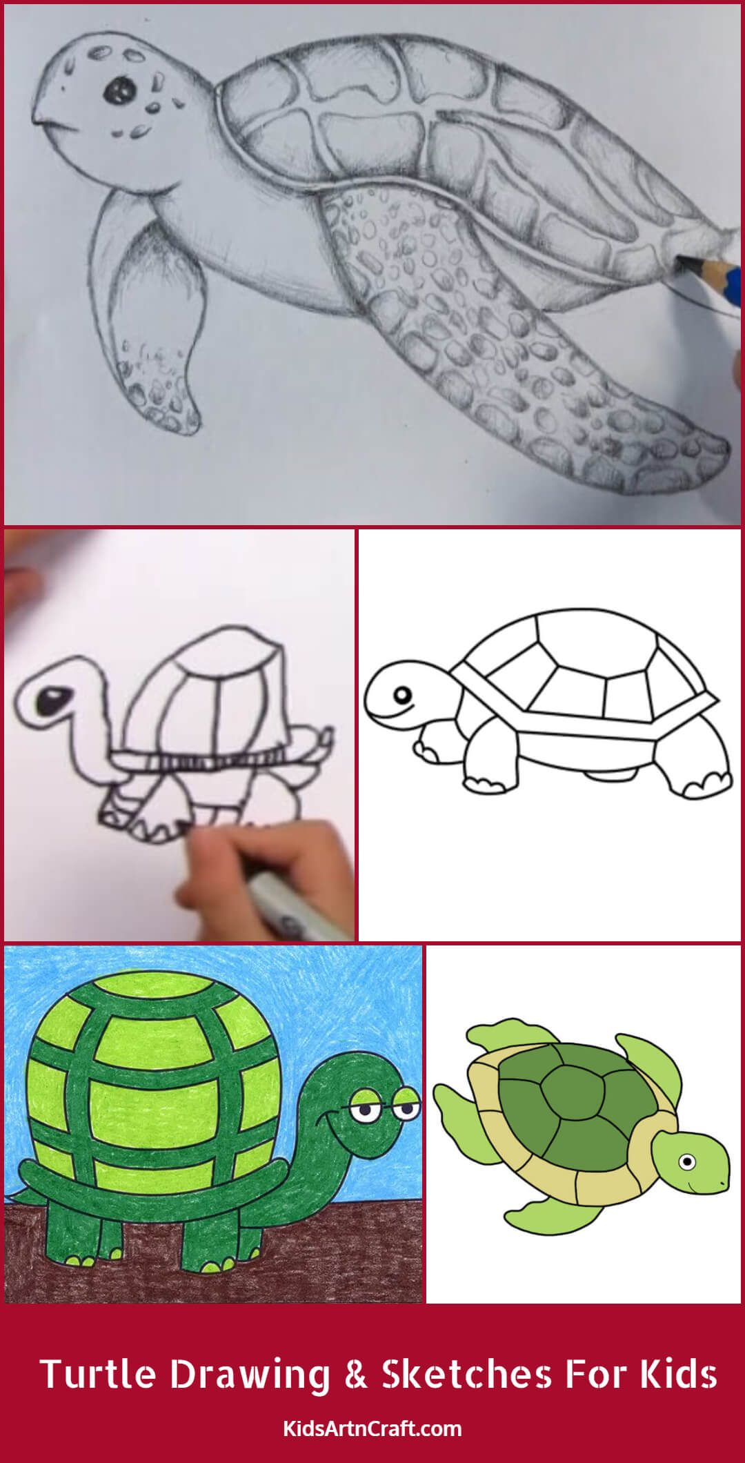 Turtle Drawing & Sketches For Kids