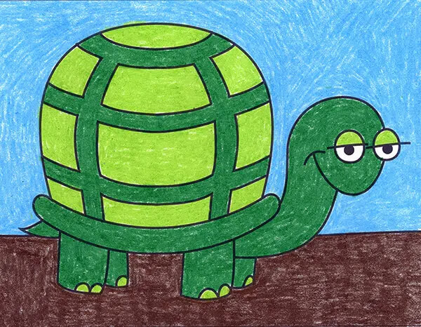 Turtle Drawing & Sketches For Kids Turtle Drawing With Step By Step Direction