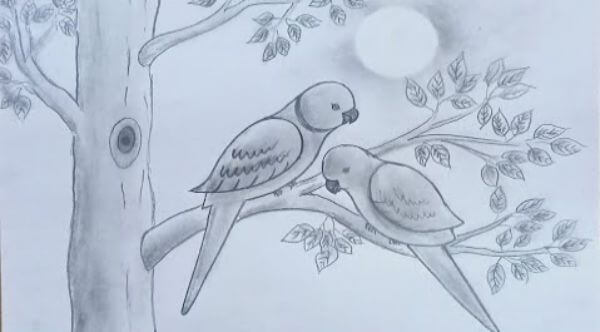 Very Easy Parrot Couple Drawing On Tree