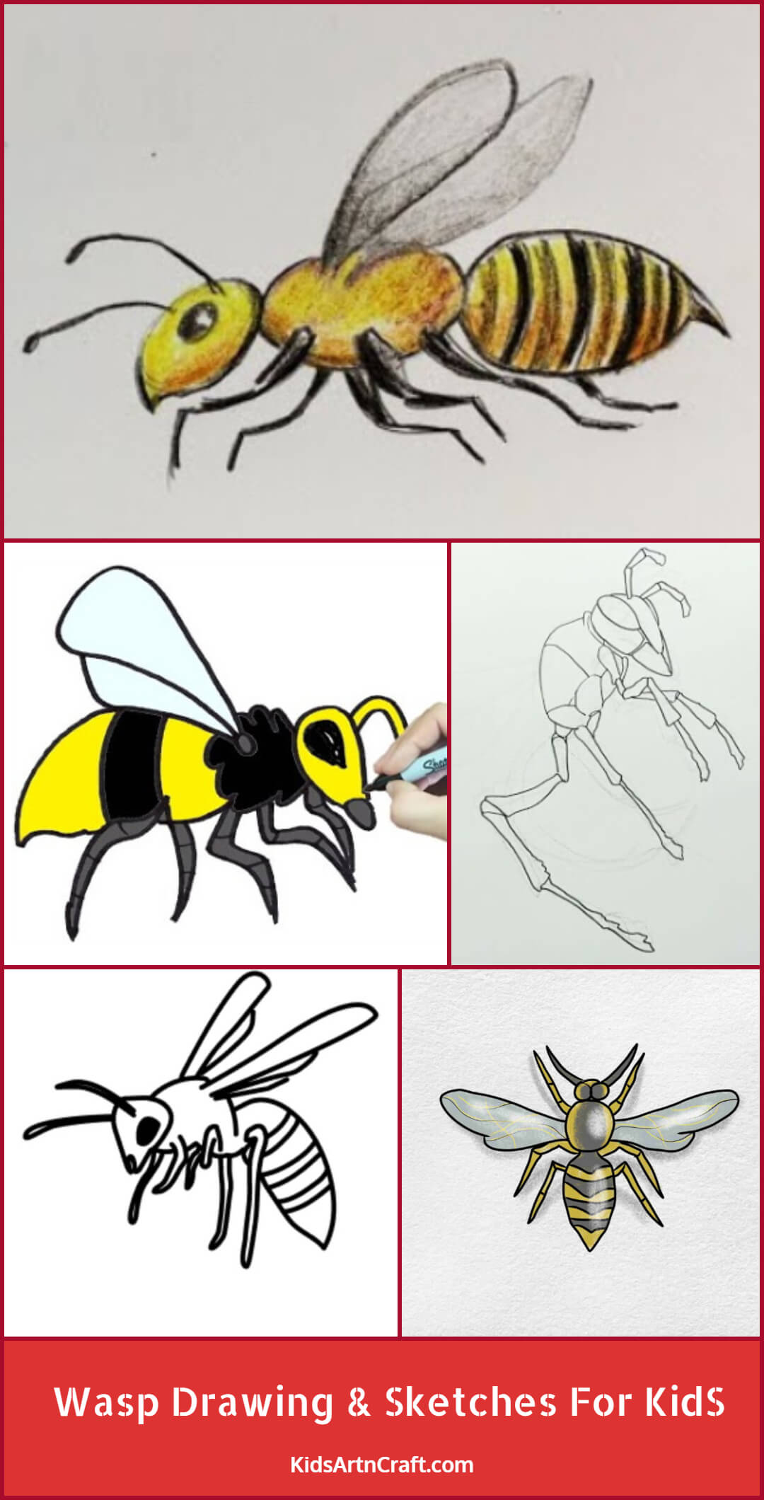Wasp Drawing & Sketches For Kids