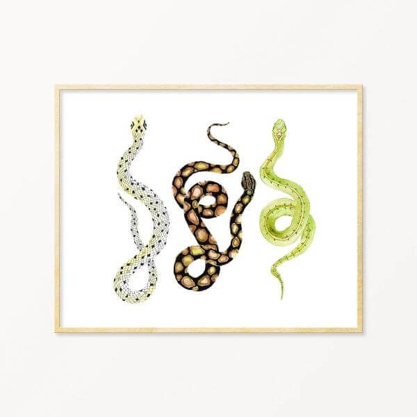 Watercolor Snake Wall Art Painting For Kids