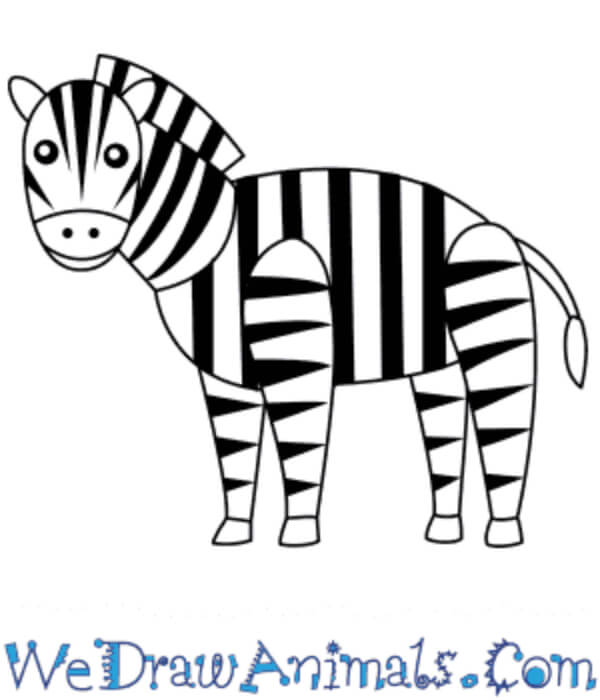 Zebra Drawing For Kids