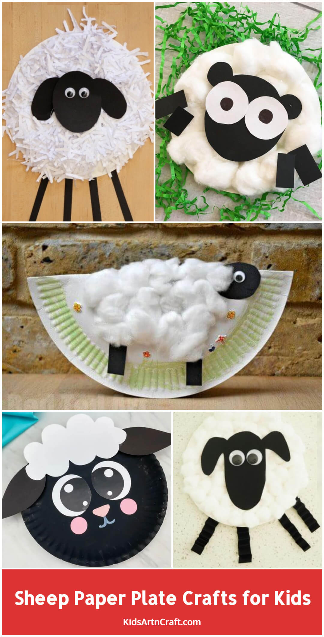 Sheep Paper Plate Crafts for Kids