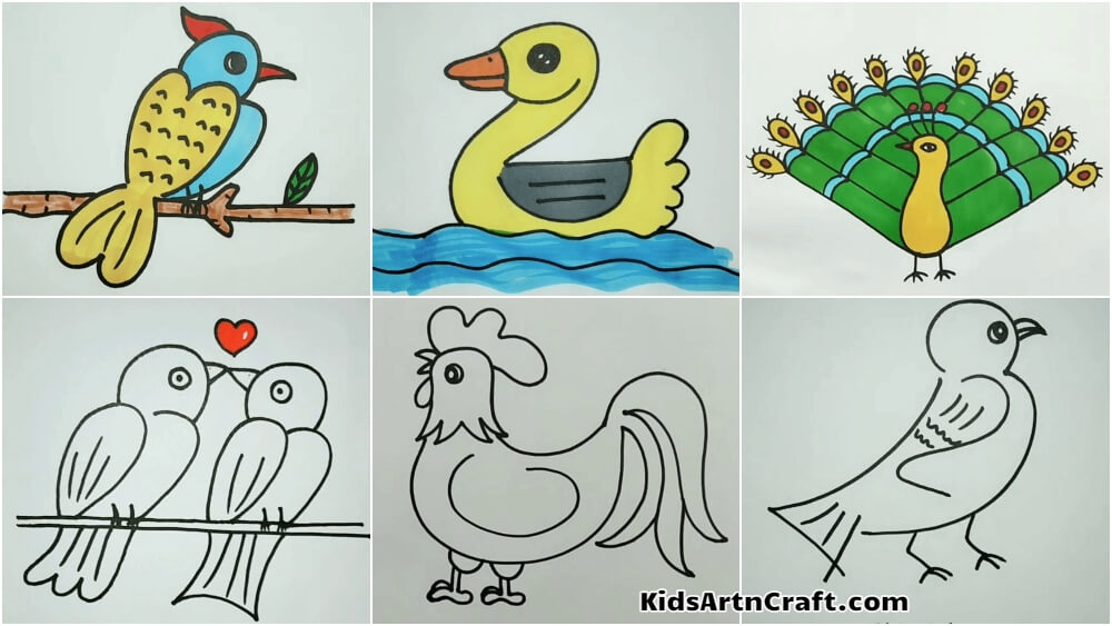 German Artist Nikolas Kuhlen Creates Beautiful Pencil Drawings Of Birds