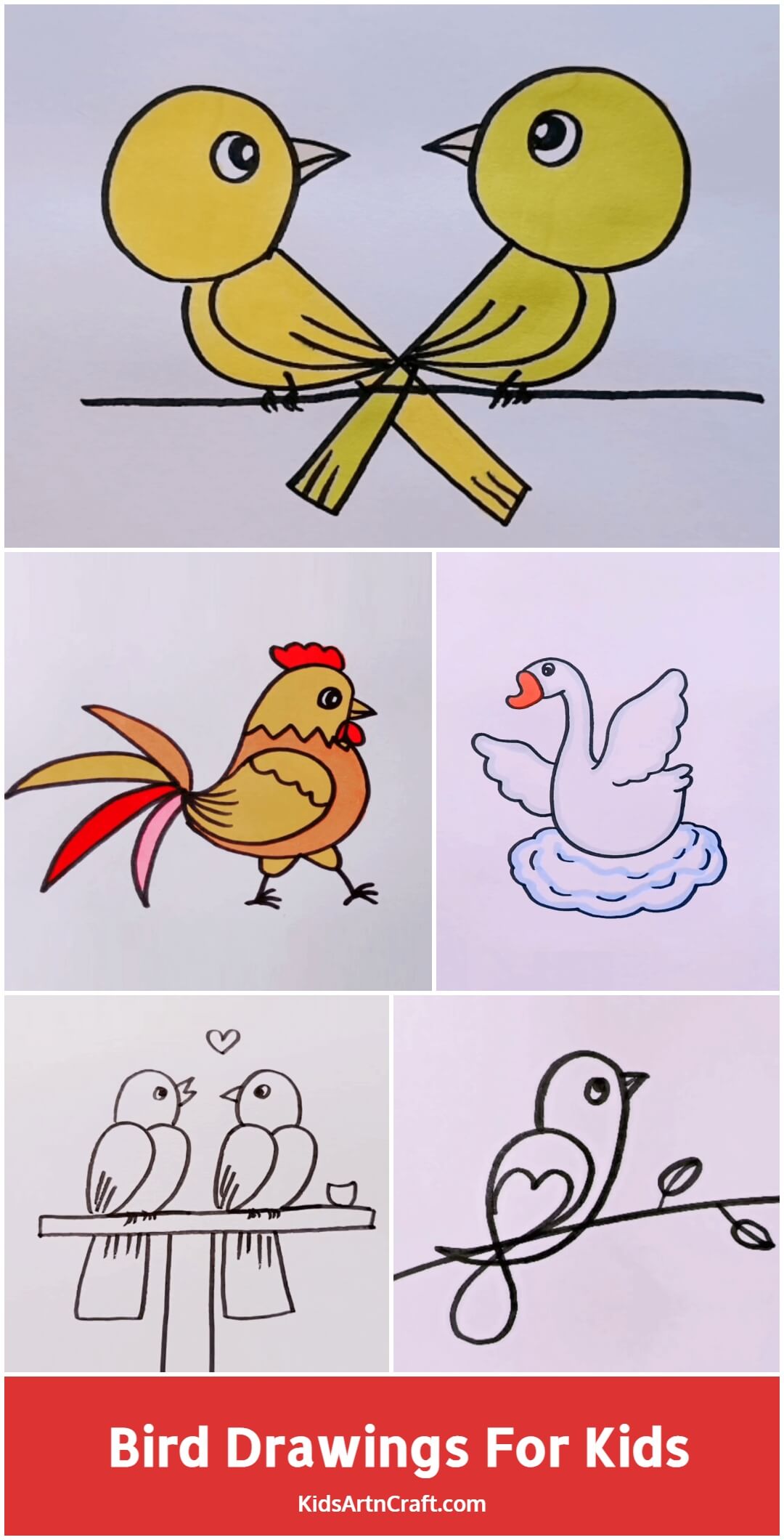 Bird Drawings For Kids