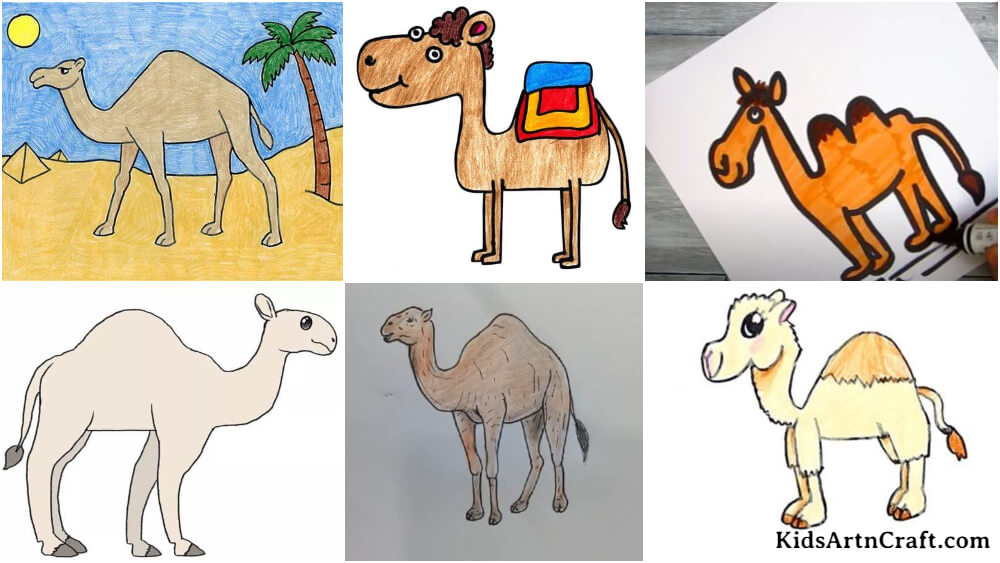 Camel Drawing For Kids Camel Drawing For Kids
