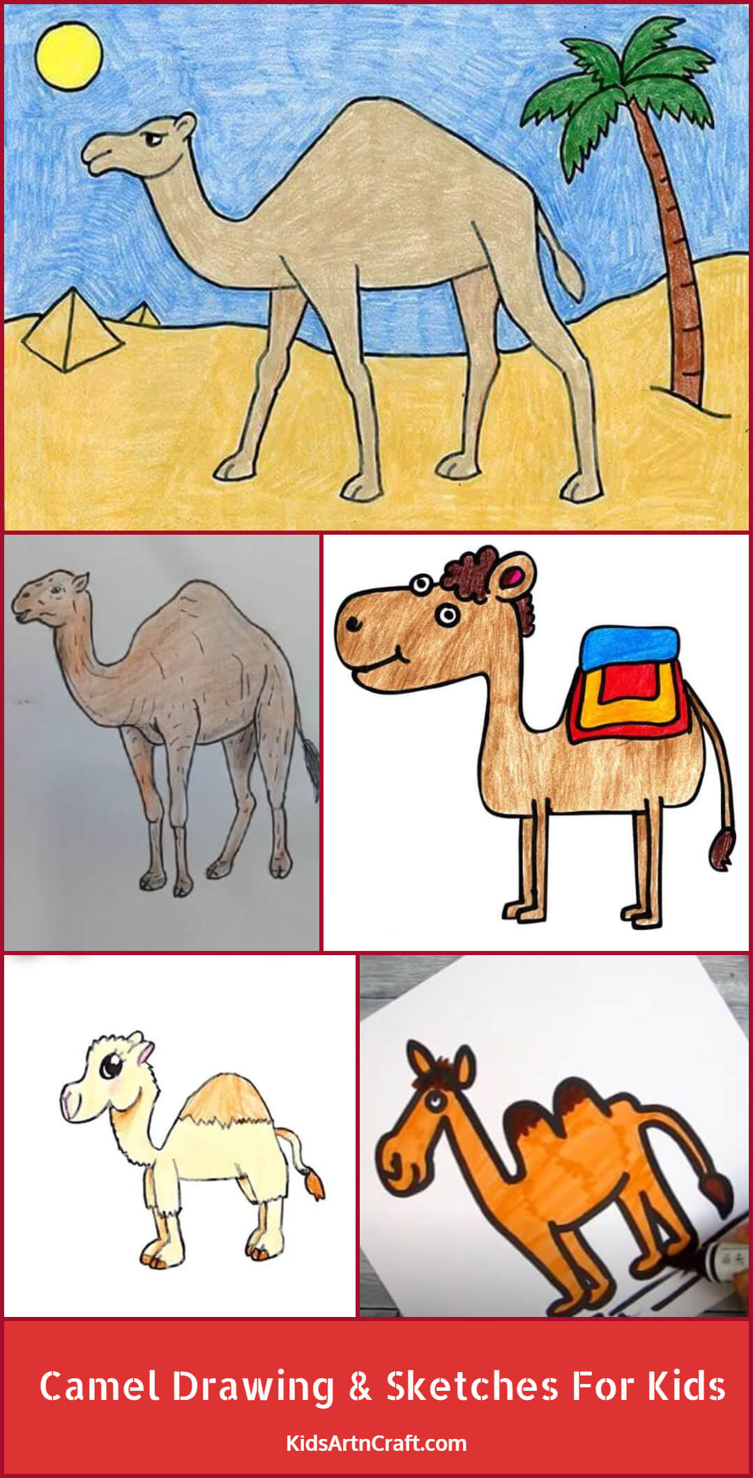 Camel Drawing & Sketches for Kids