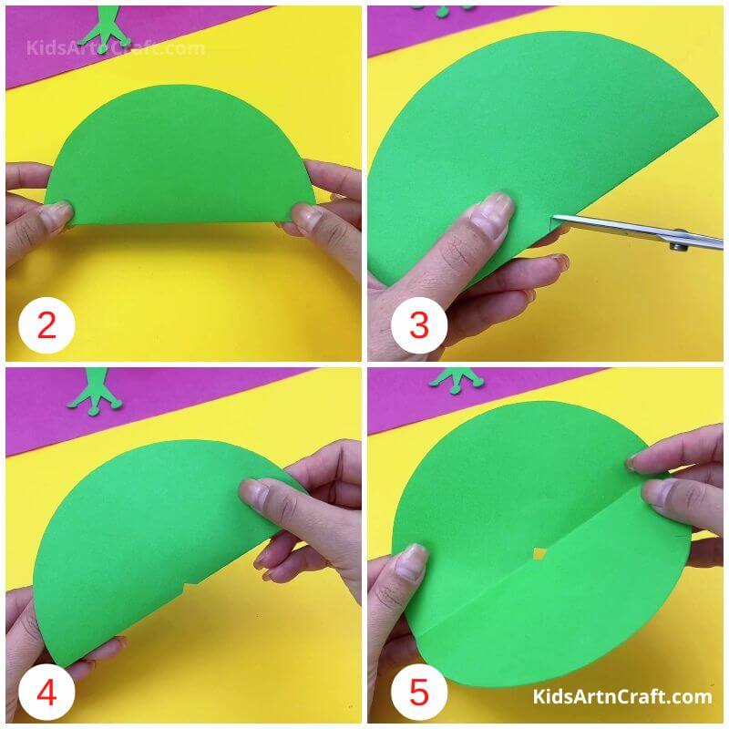  DIY How to Make Paper Frog Art and Craft for Kids-Step by Step Tutorial