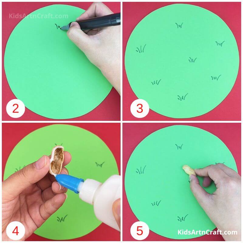 DIY Peanut shells 3D Painting for Kids - Step by Step Tutorial