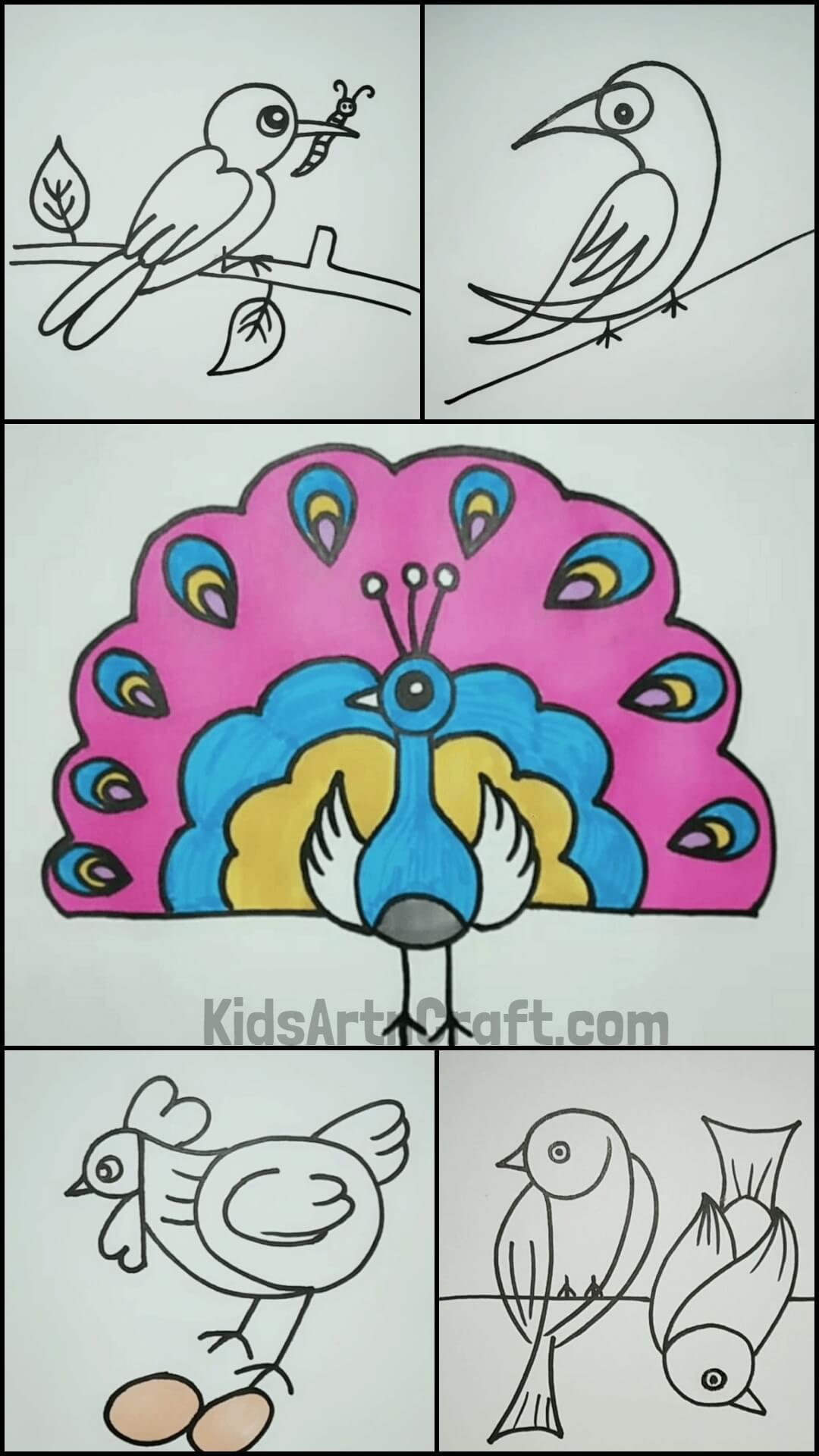 Drawing Ideas for Kids - Birds & Other Animals