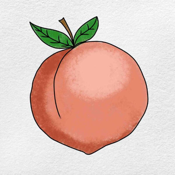 Easy Peach Fruit Drawing Step by Step