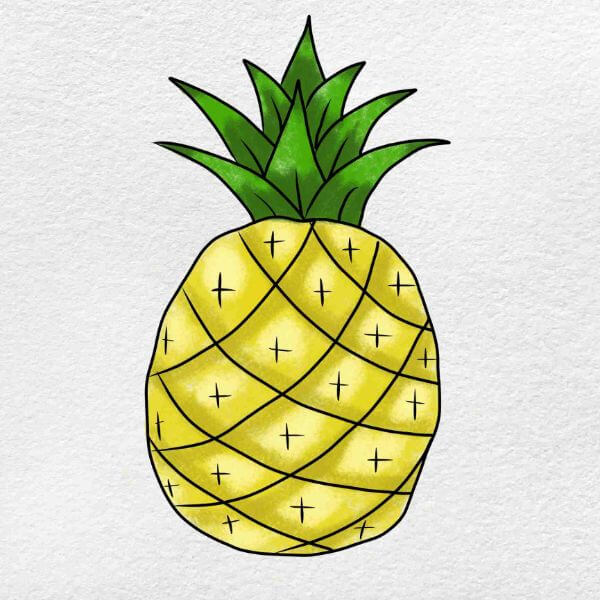 Easy Pineapple Drawings & Sketches Steps For Kids