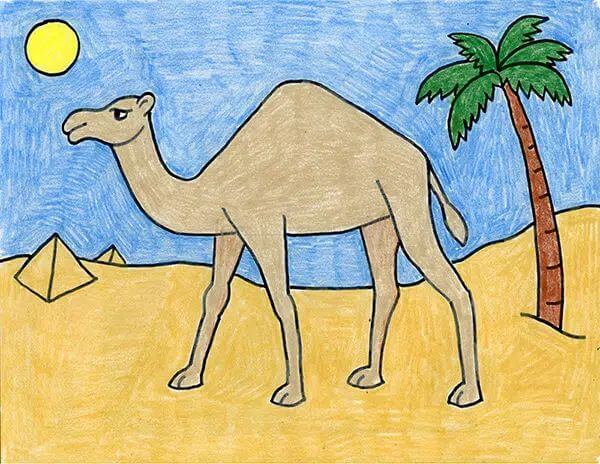How To Draw And Color Camel