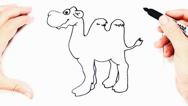 How To Draw & Sketch Camel Step by Step For Kids