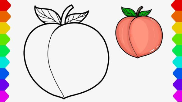 How To Draw Peach Fruit